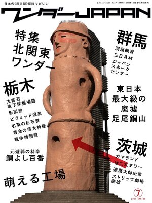 cover image of ワンダーJAPAN Volume07